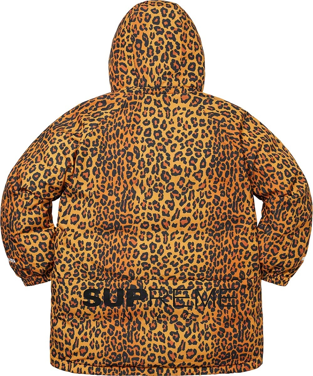 GORE-TEX 700-Fill Down Parka view 26